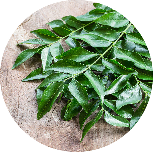 Curry Leaves