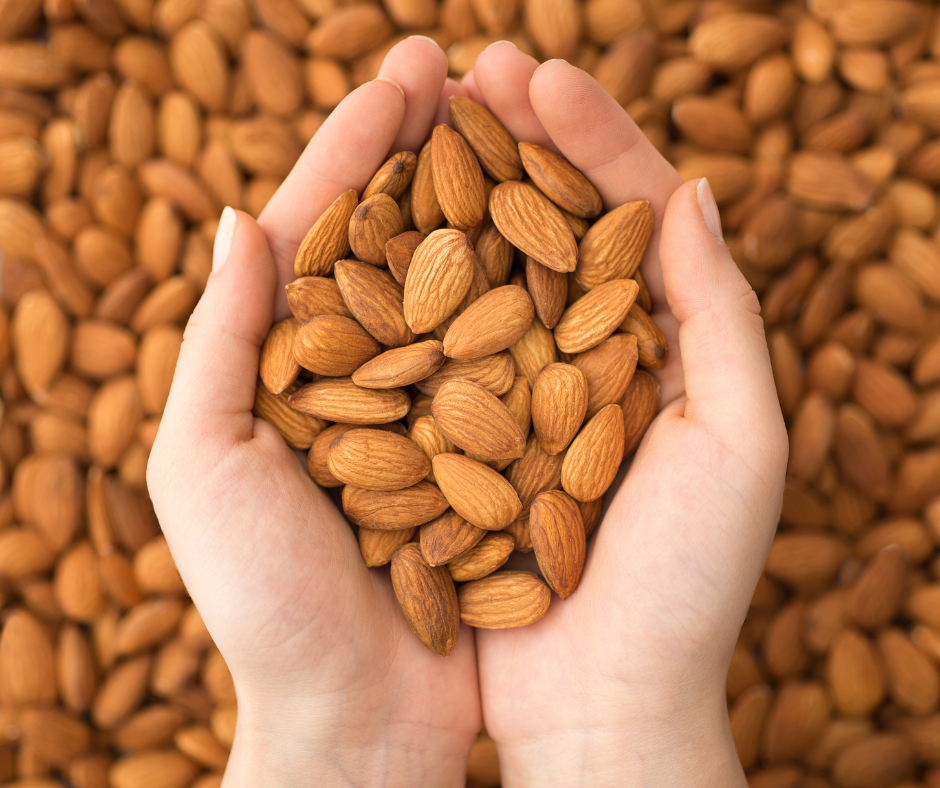 Top 10 Healthiest Nuts You Should Add to Your Diet