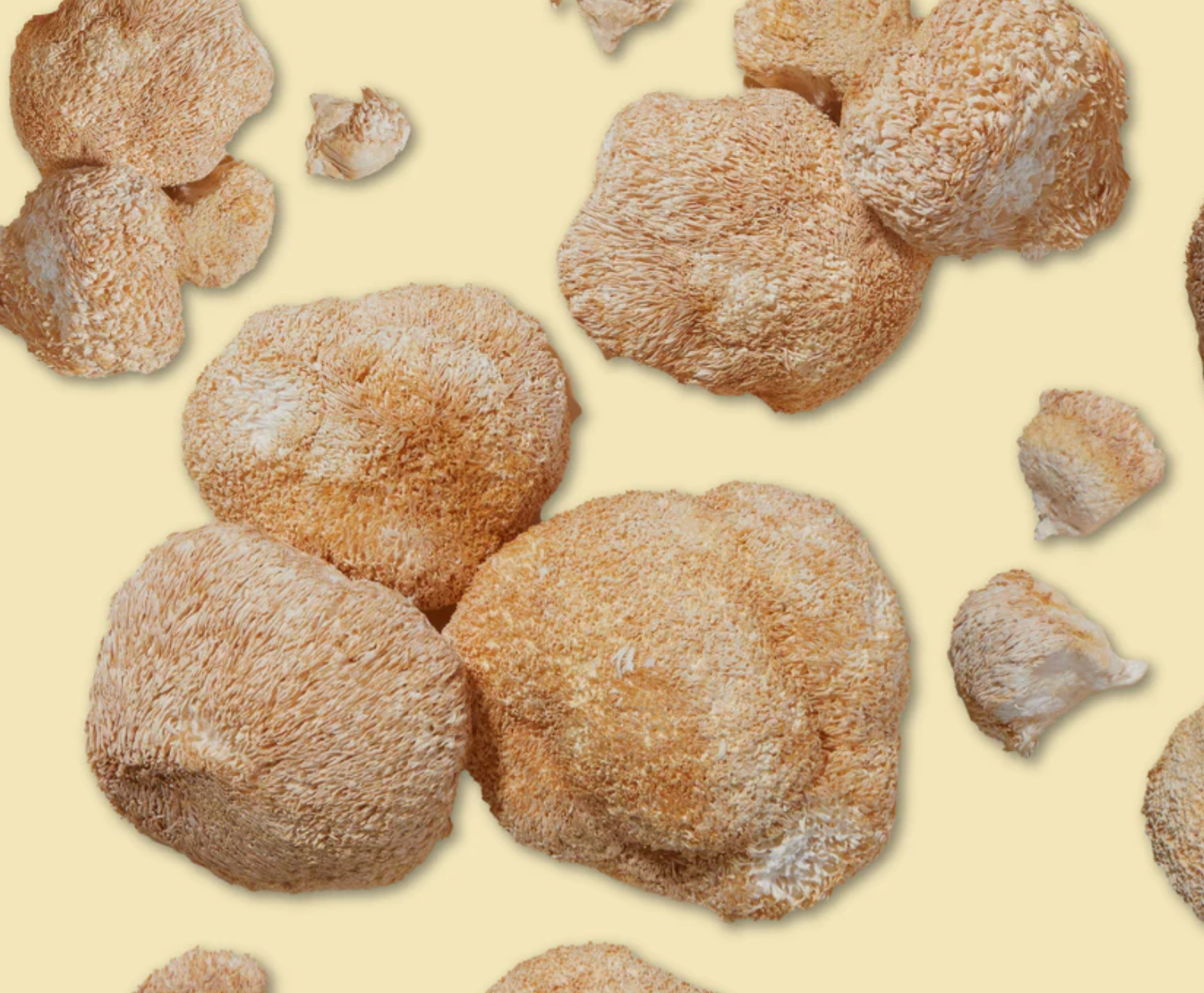 What is Lion’s Mane: Benefits, Uses, and Why It’s in Amazin' Graze!