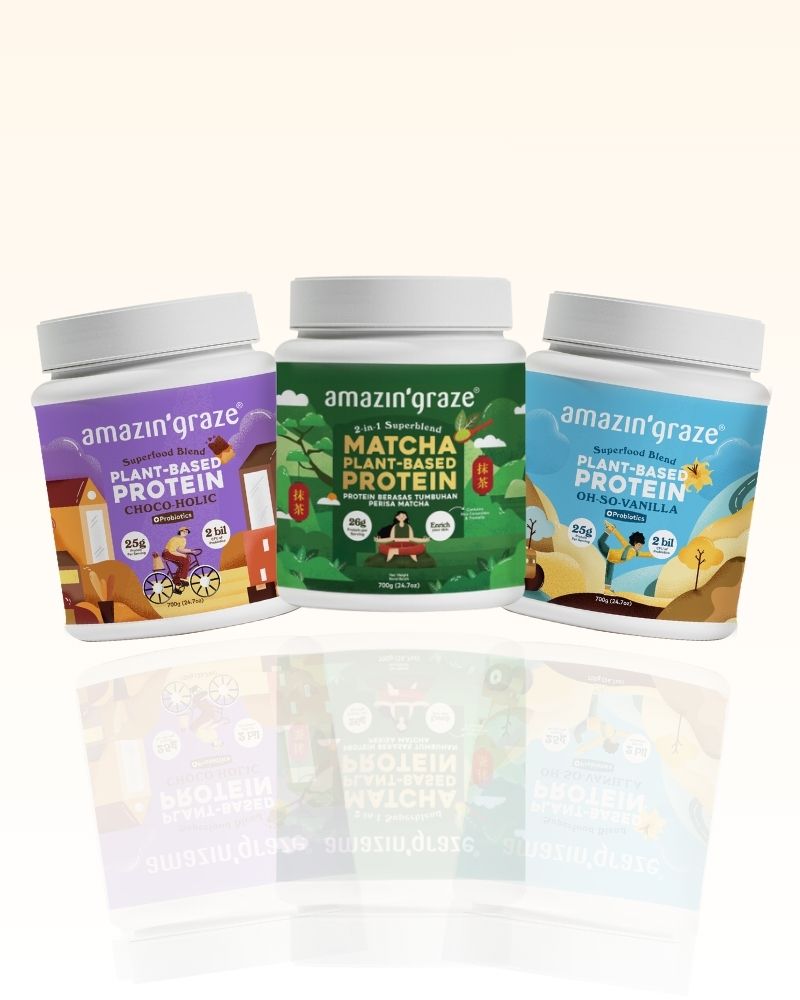 Bundle of 3 Protein Blend Tub [700g]